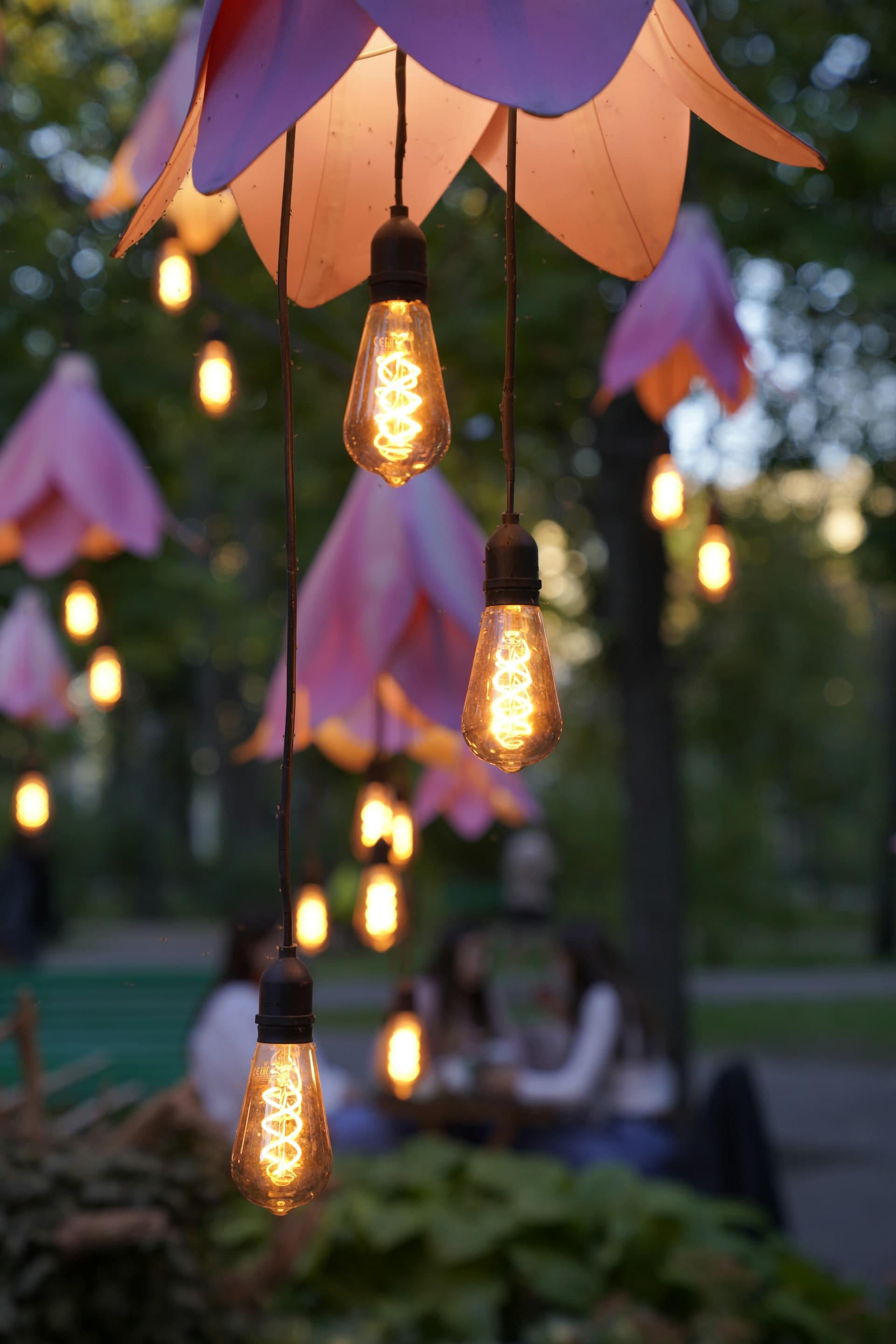 график развития инноваций